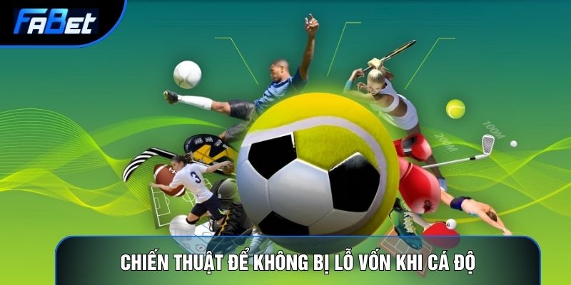 Chiến thuật để không bị lỗ vốn khi cá độ