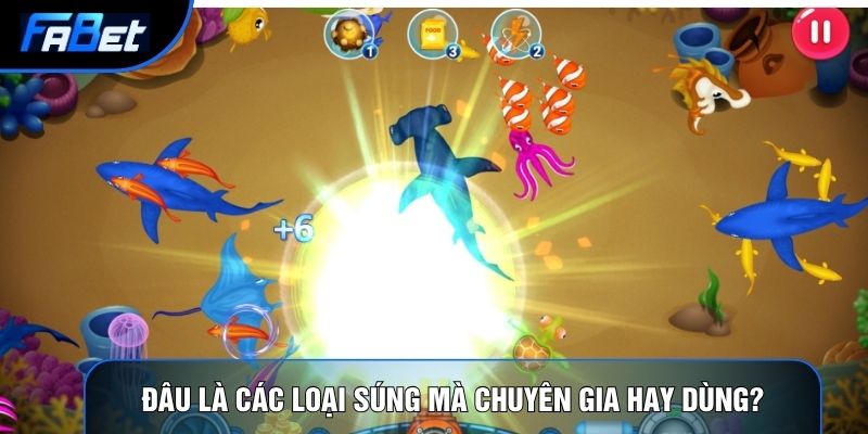 Đâu là các loại súng mà chuyên gia hay dùng?