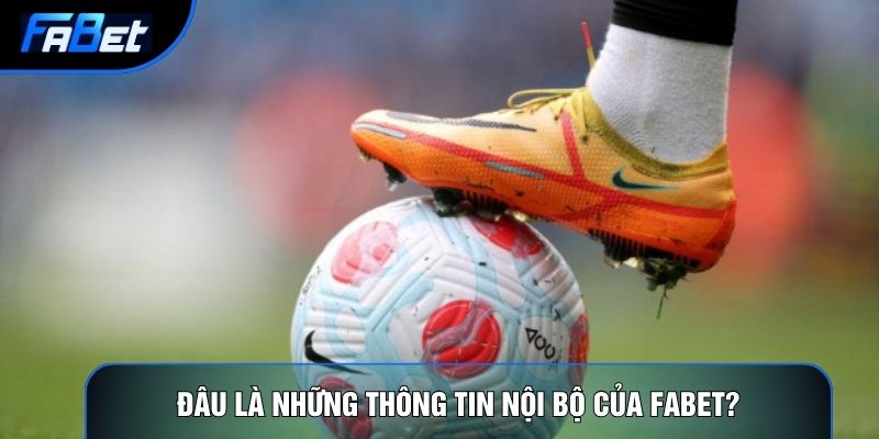Đâu là những thông tin nội bộ của Fabet?