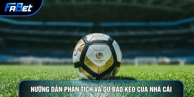 Hướng dẫn phân tích và dự báo kèo của nhà cái