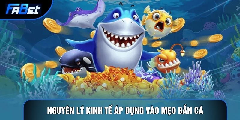 Nguyên lý kinh tế áp dụng vào mẹo bắn cá