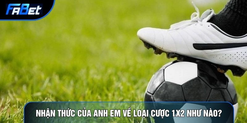 Nhận thức của anh em về loại cược 1x2 như nào?